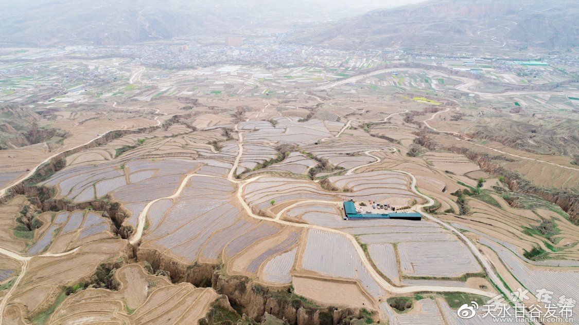 诸暨住酒店怎么找同城附近服务: 基础常识与深度探索，如何平衡关注的点？_挖呀挖黄老师说过气后不焦虑